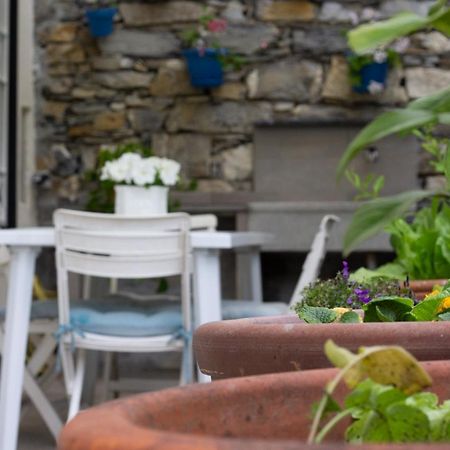 Casa Gatto Miao Διαμέρισμα Ραπάλο Εξωτερικό φωτογραφία